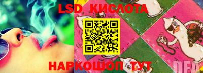 стафф Заволжье