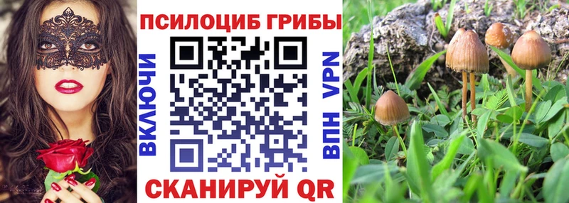 Галлюциногенные грибы прущие грибы  Канаш 