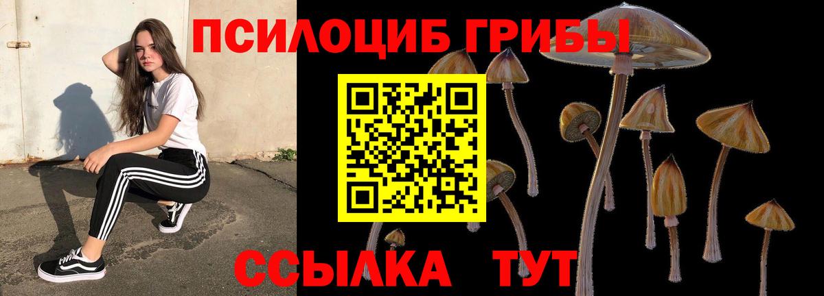 Псилоцибиновые грибы MAGIC MUSHROOMS  как найти закладки  Канаш  Псилоцибиновые грибы ЛСД 