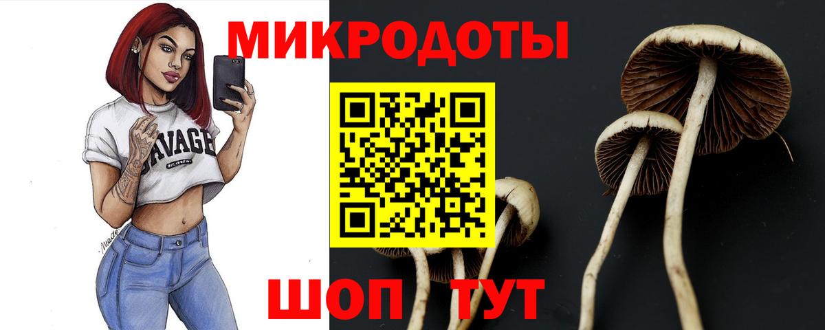 Канаш  Галлюциногенные грибы прущие грибы  Вход с VPN  Псилоцибиновые грибы прущие грибы 